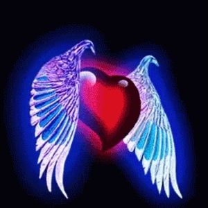 Meet your Posher, Ardiana